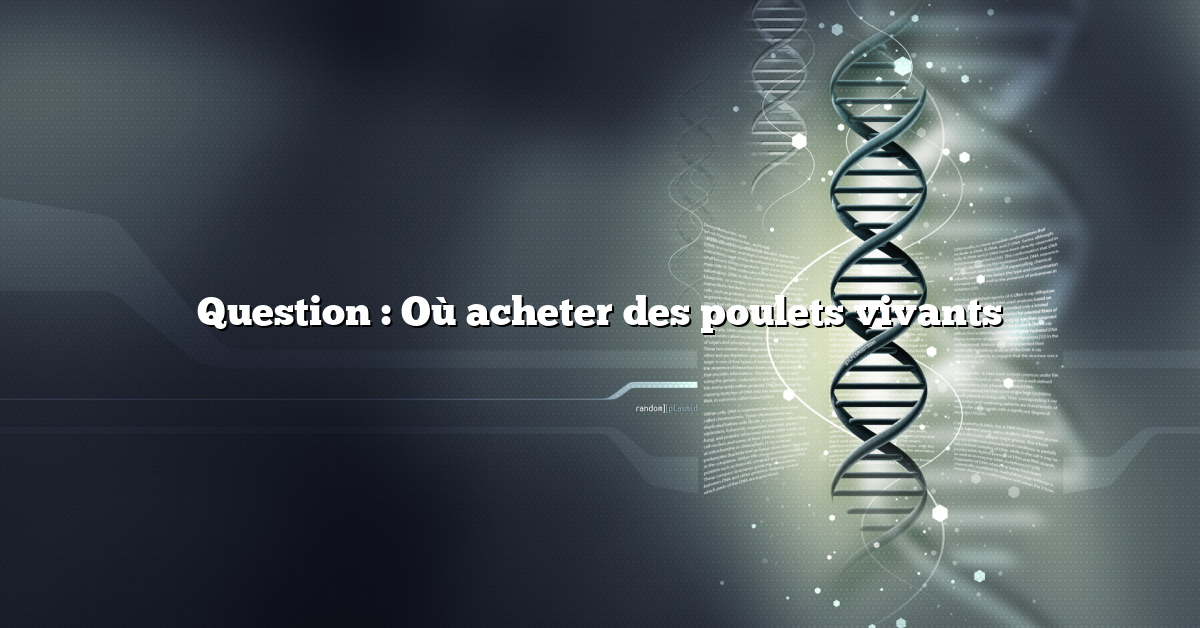Question : Où acheter des poulets vivants